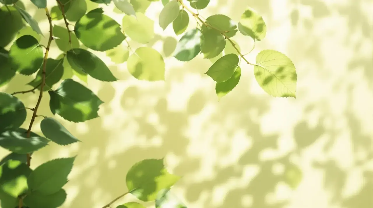 绿瓤影厅·夏梦放映 - 三妹影院 绿瓤影厅·夏梦放映